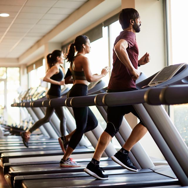 Fitness Essentials